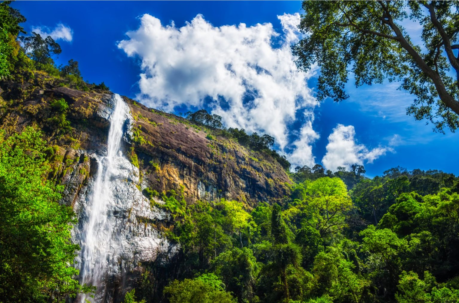 Diyaluma Water Fall In Sri Lanka